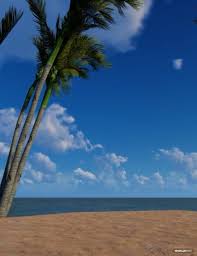 Beach Zoom Virtual Background Template Mp4 In 2020 Background Background Templates Virtual