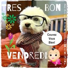 15 Images Et Photos Avec Tag Bon Vendredi Humour Bonnesimages En 2020 Bon Vendredi Bon Vendredi Humour Vendredi Images