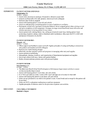 patient sitter resume samples velvet jobs