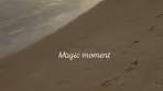 Seychelles DMC | Hotels | Excursions | Yachts | Isn’t it magic ...