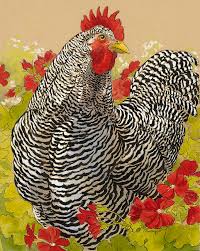 The plymouth rock is an american breed of domestic chicken. Barred Rock Rooster In The Geraniums Painting By Tracie Thompson