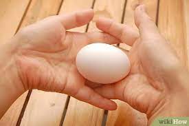 How To Squeeze An Egg Without Breaking It 7 Steps With Pictures