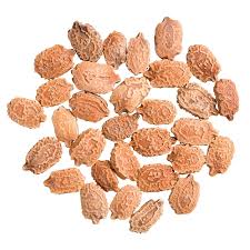 Image result for Blepharis dunensis