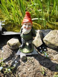 Browse 1,033 gnome garden stock photos and images available or search for garden gnome or beach huts to find more great stock photos and pictures. Garden Gnome Wikipedia