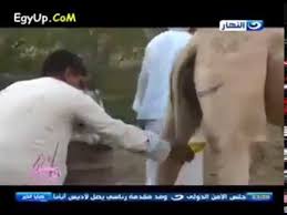 Muslim advocacy for drinking camel urine is back in the news, this time in connection with the coronavirus, which is especially ironic if not deadly, as will be explained. Arabic Man Drinking Camel S Urine Youtube