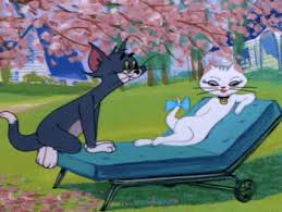 Https Encrypted Tbn0 Gstatic Com Images Q Tbn And9gct6ugfx7mqny96ifcpyip5vupcmd8znyt7osg Usqp Cau
