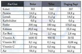 kandungan nutrisi belut telur daging sapi daging sapi nutrisi daging