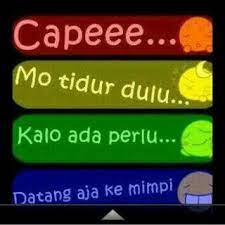 Caoe Tidur Lucu Gambar Lucu Ungkapan Lucu