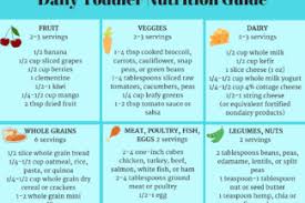 Daily Toddler Nutrition Guide Yummy Toddler Food