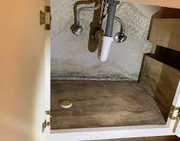 Although mold is most common in wet climates, it can be found almost anywhere. Mold Under Sink Archives Pnw Home Inspectors