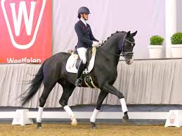 Find julia's age, current and past home addresses, mobile phone numbers, email addresses, and known relatives. Zion By Zhivago Licotus Horse24