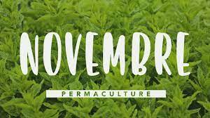 Certes, novembre n'est pas le mois le plus actif de l'année au potager. Que Faire Dans Son Jardin Permaculture En Novembre Permaculture Youtube