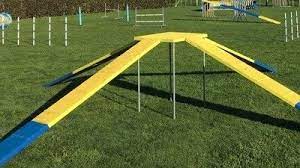 Maybe you would like to learn more about one of these? Petition Nzkcac Gmail Com Remove The Use Of The Cross Over Xo From The List Of Dog Agility Equipment In Nz Change Org