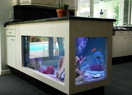 Here's a look at the values from some rare and sought after items in the game. Kitchen Island Brings The Tropics With Aquarium To Your House Http Www Interior Design Mag Com Home Design Idea Custom Fish Tanks Fish Tank Fish Tank Stand