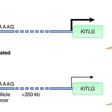For most, this is not a thing that they want to happen to their hair, and so do you. Prevalence Of Gray Hair In The Scalp Regions According To A Download Scientific Diagram