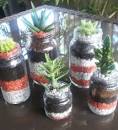 Image result for mini jardines en frasco