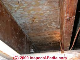 Anatomy of the subfloor how to install a subfloor unlike the subfloor, this is not a structural element, and it provides no strength to the floor. Moldy Subflooring In Buildings