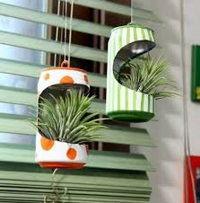 用啤酒易拉罐diy垂吊式手工花盆教程 hanging planters hanging plants plants