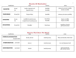 Olecranon process of the ulna. Chart Of Muscle Origin Insertion Action