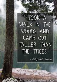 10 Inspiring Hiking Quotes To Get You Outdoors Nature Quotes Trees Short Nature Quotes Into The Woods Quotes