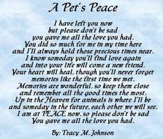 Let these pet loss quotes comfort and encourage you during the toughest of times. Deanna Shepard Deanna1492 Profile Pinterest