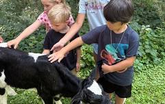 Animal Adventures Farm Camp