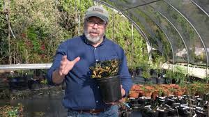 (as part of a phased reopening.) parking: Jc Raulston Arboretum Home Facebook