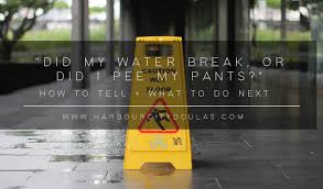 Did My Water Break Harbour City Doulas Nanaimo Doulas