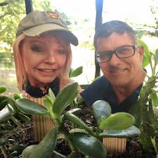 Between the Succulents