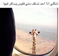 pin by husain on funny funny comments jokes arabic jokes