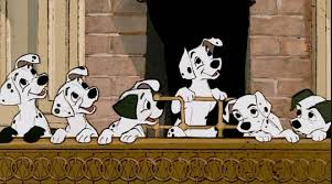 And naming your dog after a character in a movie you love is a great way to celebrate both your dog and your favorite flick. Top 105 Female Dog Names Inspired By Animated Disney Movies In 2021 Dog Names Disney Female Dog Names Dog Names