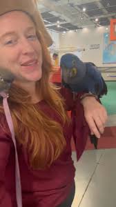 We are getting in to gasparilla mode today here at the Glazer Kids Museum!,  Come see is until 1 today or 11-1 tomorrow!