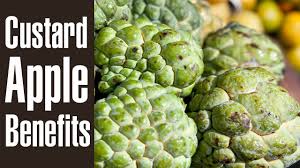 10 Health Benefits Of Custard Apple Sitaphal Youtube The scientific name for asian or japanese persimmon is diospyros kaki. 10 health benefits of custard apple sitaphal
