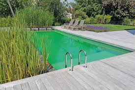 Ein schwimmteich ist die natürliche alternative zum pool. Schwimmteich Im Eigenen Garten Pool For Nature