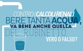 Se il loro diametro è di pochi millimetri, vengono espulsi spontaneamente attraverso l. Calcoli Renali Coliche E Mal Di Schiena I Campanelli D Allarme News Asst Grande Ospedale Metropolitano Niguarda