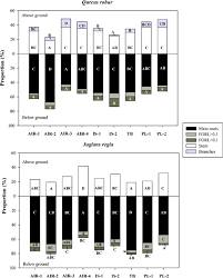 Bill direen (guitar/vocals), carol woodward (keyboards), maryrose wilkinson. Seedling Above And Below Ground Biomass Proportions Relative To Total Download Scientific Diagram