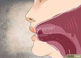 Do you know how to whistle? How To Wolf Whistle 10 Steps With Pictures Wikihow