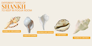 Buy Gupangam® Vamavarti Natural Blowing Shankh 5 Inch For Pooja Original  Conch Shell White Small Size Online At Low Prices In India - Amazon.In