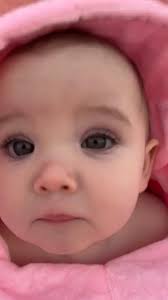 Not the typical octopus you'd see by the beach but DEFINITELY cuter 😭 ,  📹: thislittlewandering