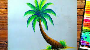 Glue the trunk onto a background piece of paper (blue or white construction paper work well). Coconut Tree Drawing With Pastel Color Youtube
