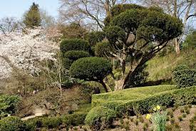 Kaiserslautern Japanese Garden Japanischer Garten By Hen Magonza Country Roads Photo Explore