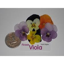 Maybe you would like to learn more about one of these? Edible Flower Viola 4 X 50 Count Buy Online In Serbia At Desertcart 11217696
