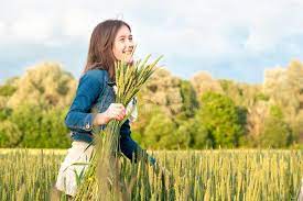 Wheat goes through several steps on its journey from the field to your table. 1 622 Picking Wheat Photos Free Royalty Free Stock Photos From Dreamstime