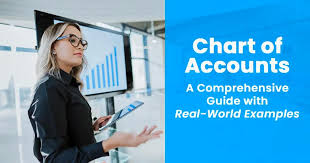 Chart of Accounts: A Guide| 1-800Accountant