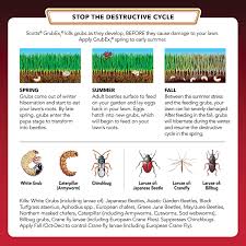 How to get grubs out of your garden. Scotts Lawns Grubex Season Long Grub Killer Covers 5000 Sq Ft Amazon De Garden