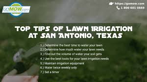 How much should you water your lawn? Top Tips Of Lawn Irrigation At San Antonio Texas Gomow