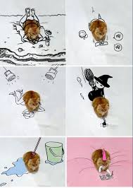 The Unique Sitting Position Of A Cat Cute Funny Animals Funny Animals Funny Cats