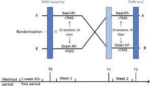 Flow Chart Of The Experimental Hf Rtms Treatment Procedure