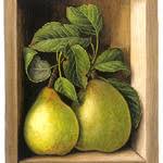 yellow house art licensing