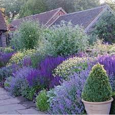 Pin On Modern Landscaping